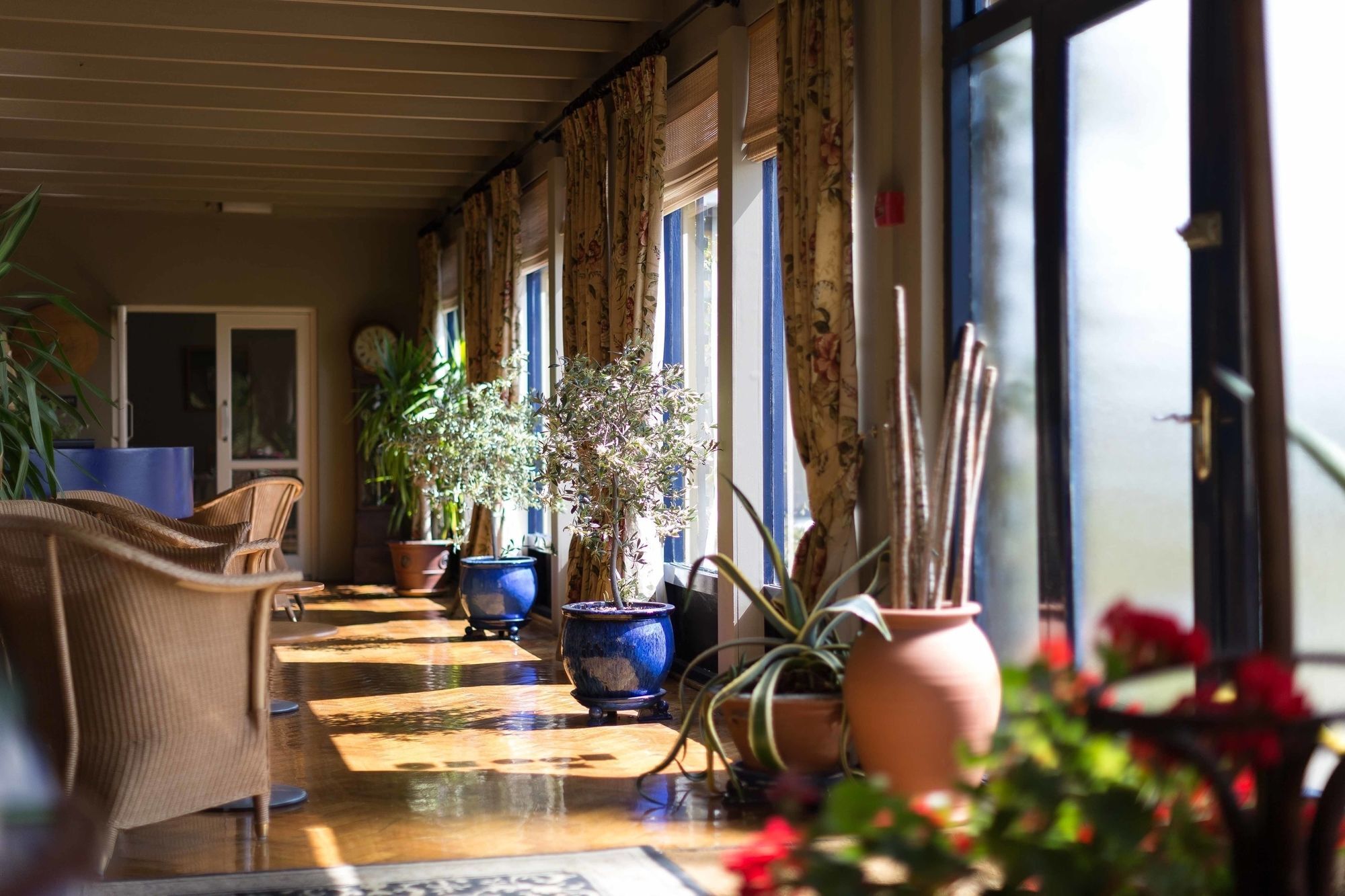 Sheedy'S Boutique Hotel 利敦瓦纳 外观 照片